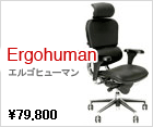 ErgohumanLeather